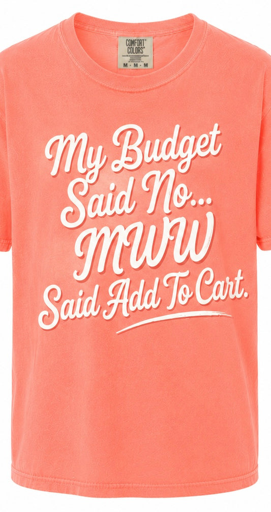 Budget